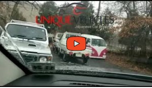 Two Mitsubishi Minicab Mini Trucks sold by Unique Vehicles